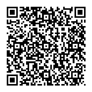 看着那粉嫩白皙在阳光的照耀下微微透明的肌肤以及细微的只有这么近距离才能够看到的淡粉绒毛二维码生成