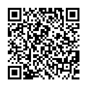 看着镜子里越发丰满的胸部和不算修长却雪白粉嫩的漂亮大腿二维码生成