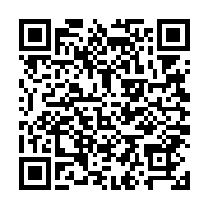 看着闫九城这老家伙还没有从自己的震惊之中回过神来二维码生成