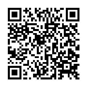 看着风暮寒将清凉的药膏涂抹在她被弓弦割伤的伤口上二维码生成