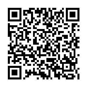 看着麦田里钻出来的两个男人彼此在嘀咕着什么二维码生成