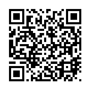 看着黄鸾那张憔悴了很多的绝美面孔二维码生成