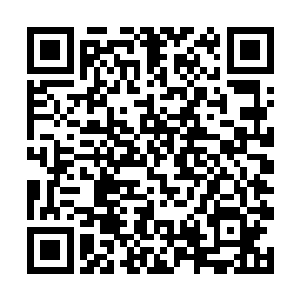 看美术书和历史书就比叶老这个画坛泰斗眼力更厉害二维码生成