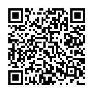 看见了冰蟾龙傲天一下子明白了为什么闪电貂要带他们来了二维码生成