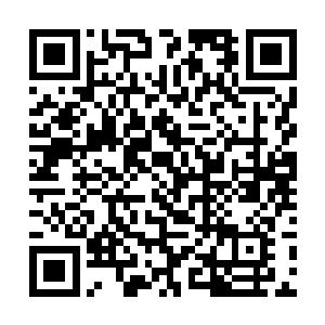 看见十来个县委县府领导们分别上了来接领导五台车二维码生成