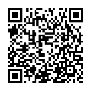 看见号称青苍第一号高手的巡南大将军蒋横抽出刀二维码生成