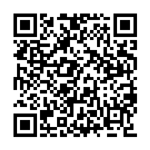 看见地上依次躺着大王ァ小王ァ张算盘ァ叶小来二维码生成