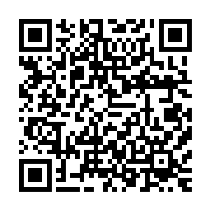 看见村里的好多老人小孩都神情紧张的往村口的河边跑了过去二维码生成