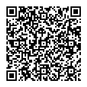 看见田海华和花幼兰轻描淡写的一个小配合就把莫计成先前刻意制造出来的严肃气氛化为无形二维码生成