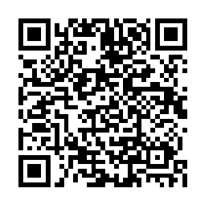 看许紫烟身上波动的气息分明就是一个圣级一层二维码生成