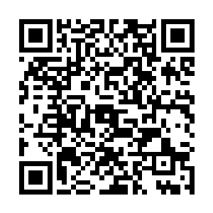 看起来……这张东西的作用比我想象中要大得多啊……二维码生成