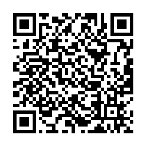 看起来不到三十岁的年轻男子也瞬间出现在了楚旬身边二维码生成