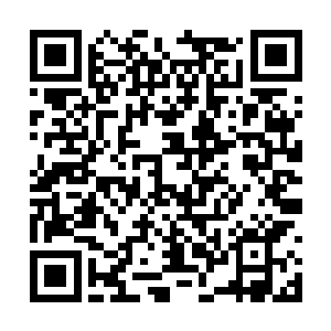 看起来之前的血管就是寄生在骨头内部的骨髓位置二维码生成