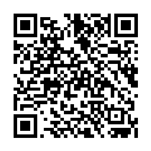 看起来他这个精灵主神连自己的族人都无法庇护二维码生成