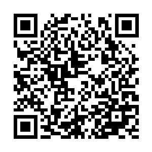 看起来倒还真是像极了位已经陷入迷茫修士的样子二维码生成