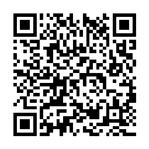 看起来娲蛇神此时更加重视与林封谨之间的关系了二维码生成