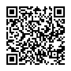 看起来就像是整个马德里的皇家马德里球迷都来到现场了一样二维码生成