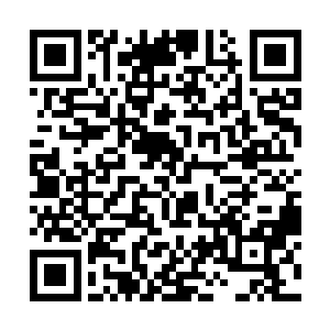 看起来就好像一只愤怒的巨龙在太平洋之中仰天咆哮二维码生成