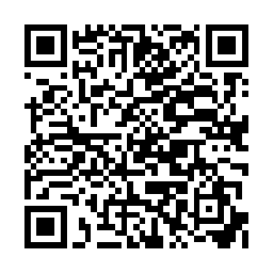 看起来简直像是被什么上古神灵大肆破坏过一般二维码生成