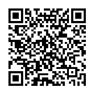 看这套盔甲的武器系统也就是抱着试试看的心情去的二维码生成
