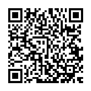 看那带着米白浅沙金表面的车身真的犹豫着停在接待小弟面前二维码生成