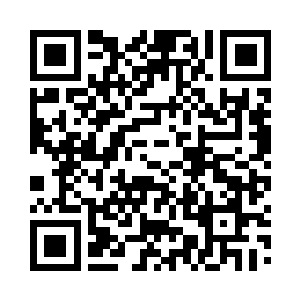 看那模样分明就是缩小了无数倍的双翅魔王二维码生成