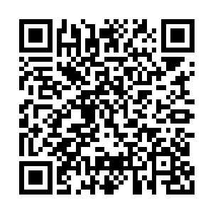 看都不看一眼那体重是她三倍却满地打滚的汉子二维码生成