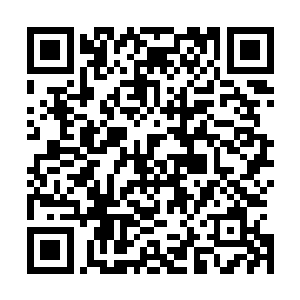 真不愧是整片盘古宇宙有史以来计算力最强的超级人工智能二维码生成