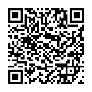 真不知道宫萍那女魔头之前都对花卷和花花做了什么二维码生成