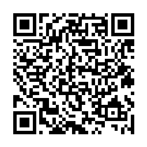 真不知道把这本兽皮经卷交到你的手上是对还是错了二维码生成