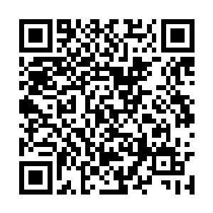 真不知道这些人知道不知道狗熊的妈妈是怎么死的二维码生成