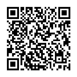 真不知道这雷家的老祖宗是怎么弄出来了这个九重塔二维码生成