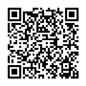 真假之道的区分在于如何能够找到真实的那一部分二维码生成