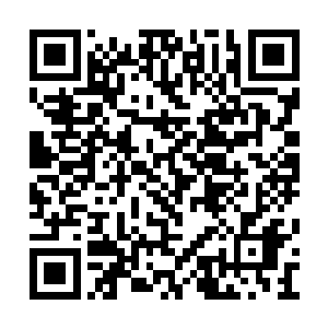真实界与七海二十八界大部分法身就能联合起来二维码生成