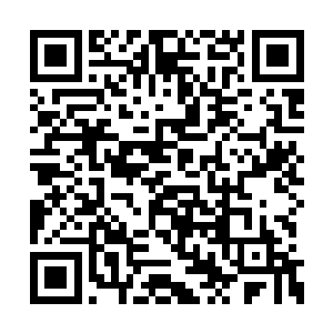 真希望宇天这个华夏风始祖也能高歌一曲华夏风二维码生成