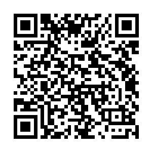 真怀疑那天有男人拿着美食都可以把她们两人骗走了二维码生成