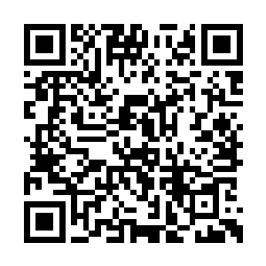 真想不到有朝一日能够与过红尘这样的高手过招二维码生成
