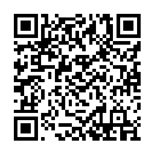 真想看看掩藏在纱巾后面的是一张什么样的容貌二维码生成