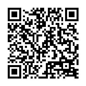 真把自己当成一根葱了u才才说走一个这又来一个去二维码生成