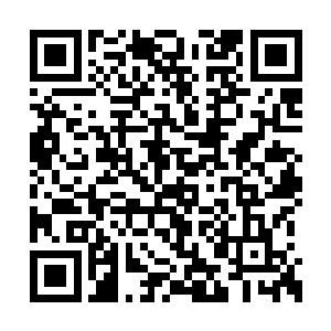 真是不知道龙族的老家伙向你们隐瞒了多少内幕二维码生成
