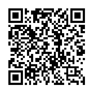 真是我们的福分……能够亲眼目睹见证他们之间的漫漫对决二维码生成
