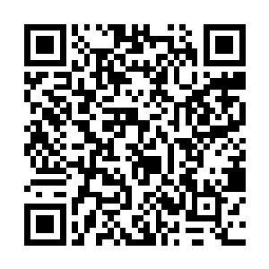 真正是不到刀架在脖子上的那一刻不知道什么叫做怕二维码生成