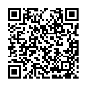 真正的好医生不是应该有着救死扶伤的高尚境界吗二维码生成