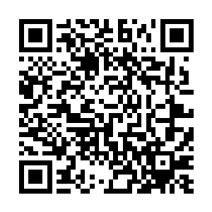真正能够及时对这老鼠造成输出的唯有陈诚和淘宝拳俩人二维码生成