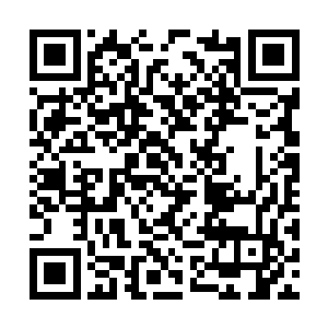 真正能够进入到王阳和小宝两个人办公室里面的呢二维码生成