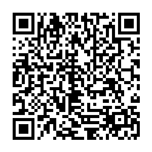 真正让他们惊骇的是这个看起来美艳无双的年轻女孩居然有着大师级层次的身手二维码生成