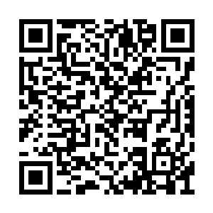 真正让我确定那张是怪兽卡的……是你刚才那句二维码生成