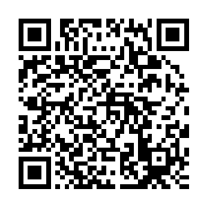 真武玄域内各大势力一方面派出暗中势力调查三大邪帝的下落二维码生成