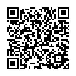 真没想到这个家伙竟然在十多天前因为奇遇得到了这个圣器二维码生成