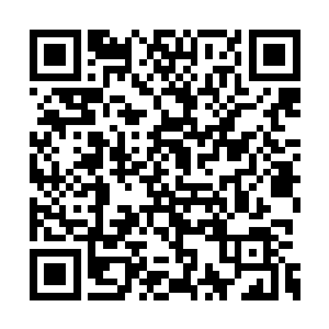 真没想到都是以龙作为的本体化形而出的女妖精二维码生成